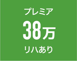 プレミアム
38万円
リハあり